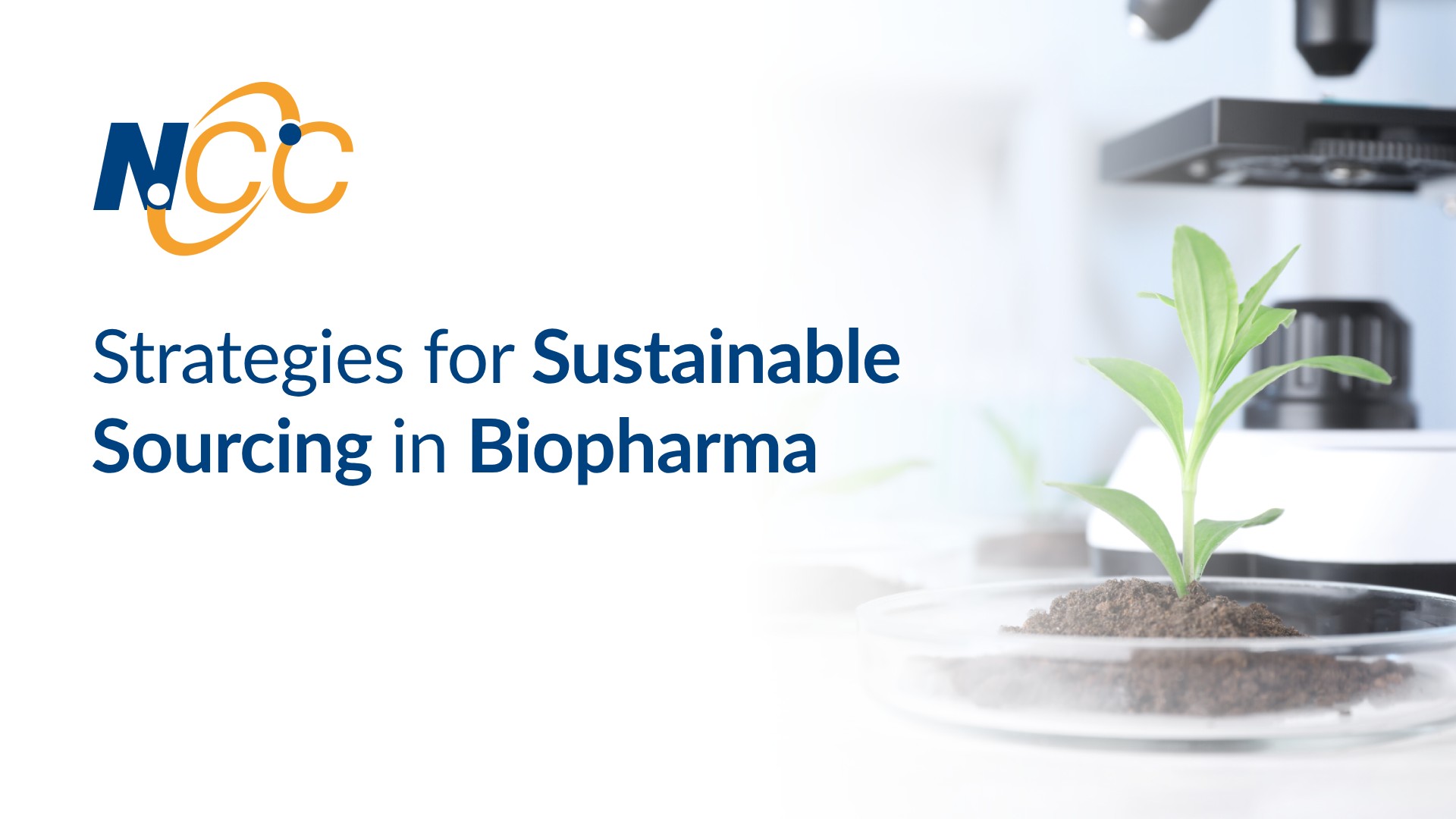 Strategies for Sustainable Sourcing in Biopharma